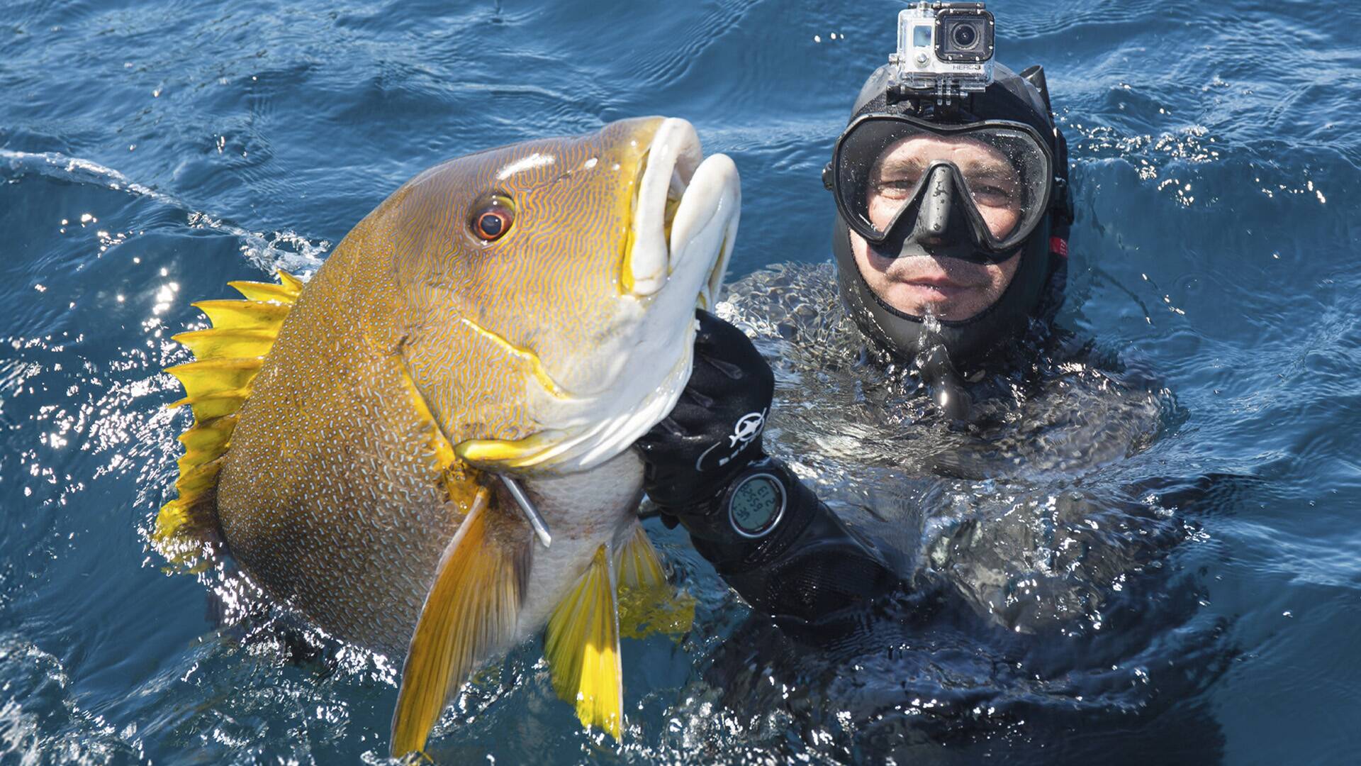 Pesca submarina en Bali con Pedro Carbonell