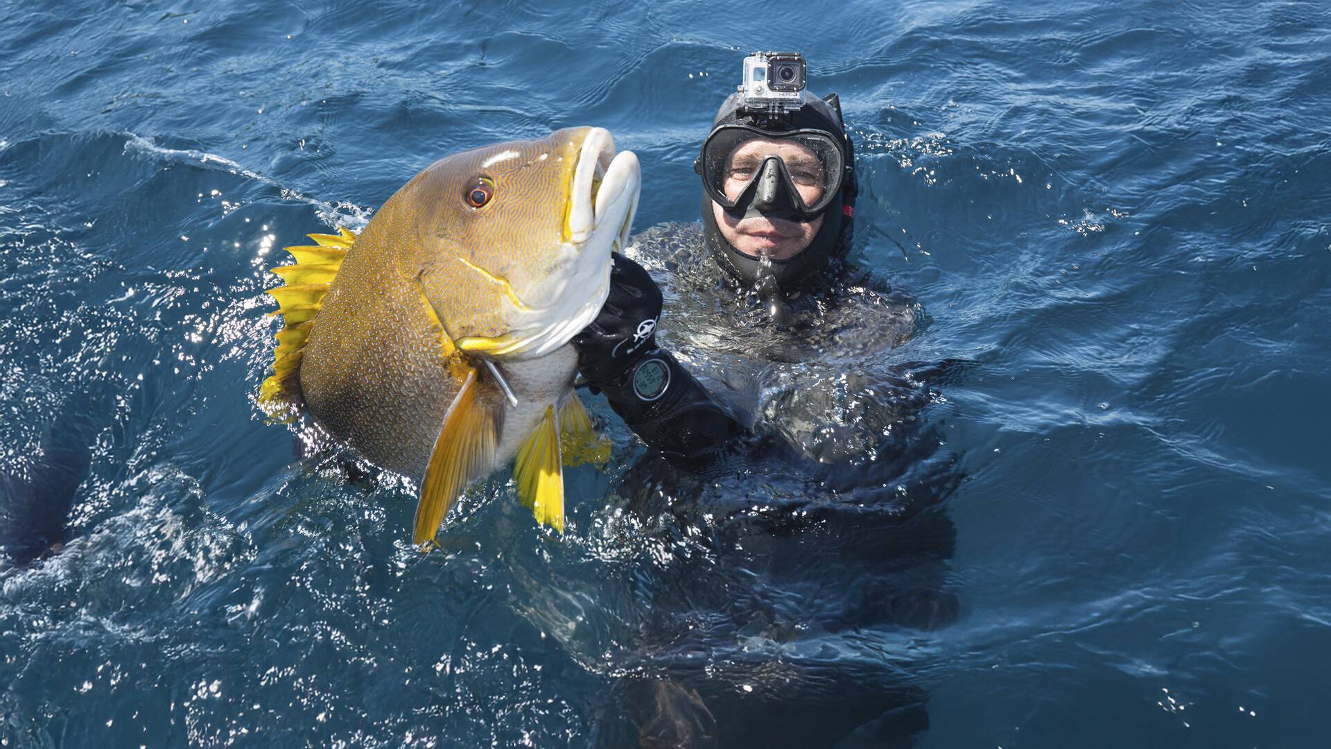 Pesca submarina en Bali con Pedro Carbonell