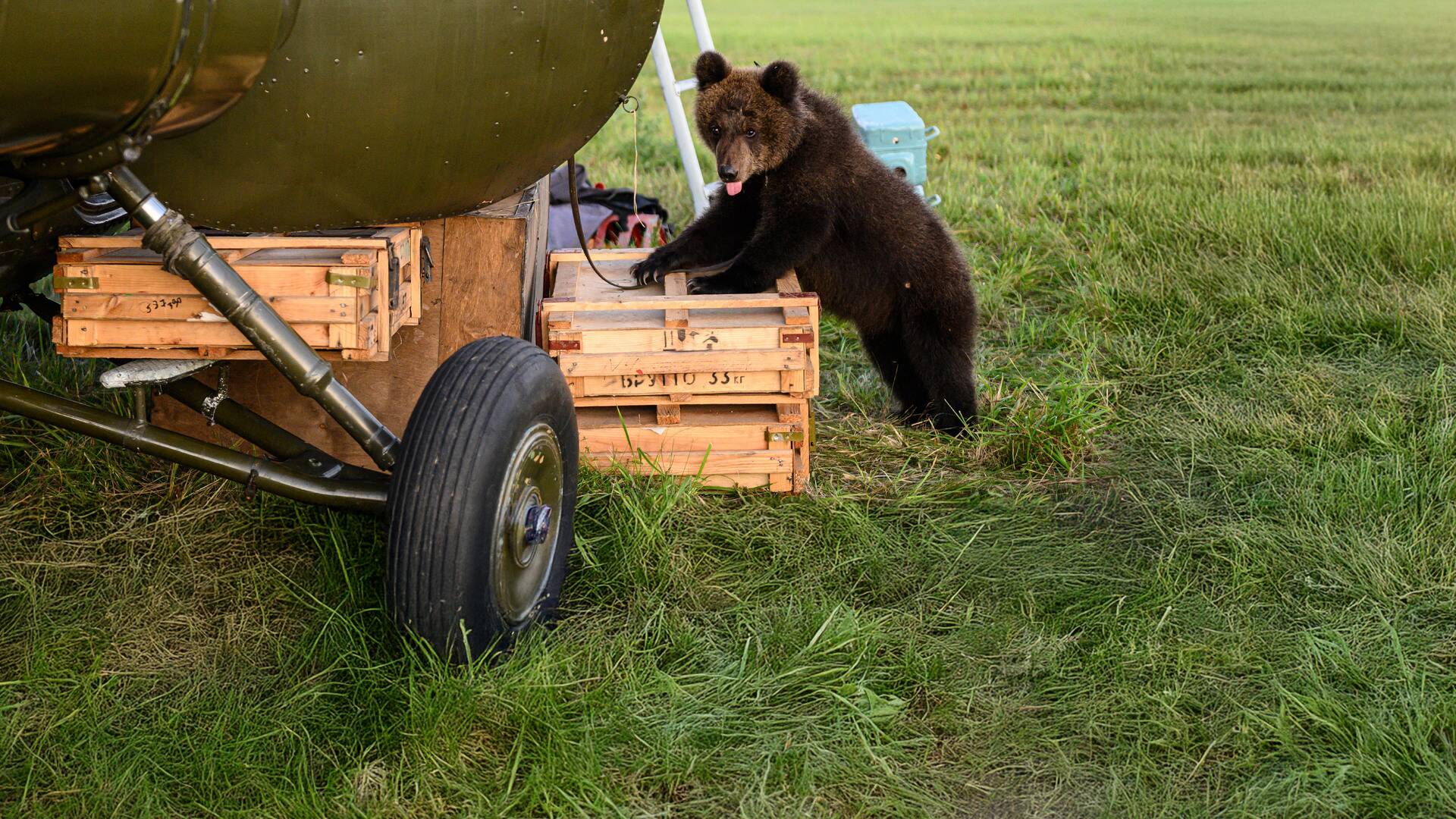 Una amistad para siempre: la aventura