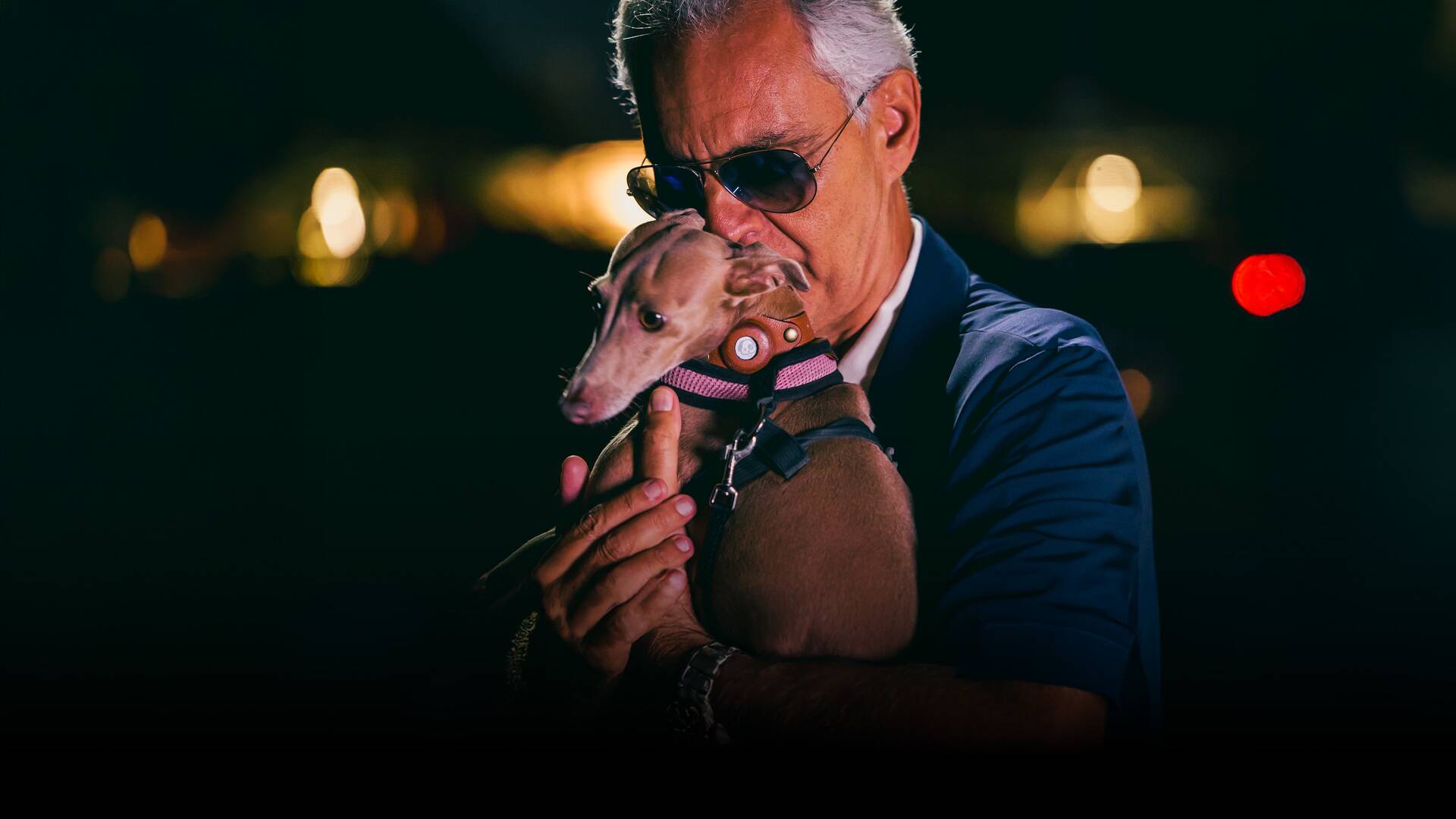 Andrea Bocelli: Because I Believe