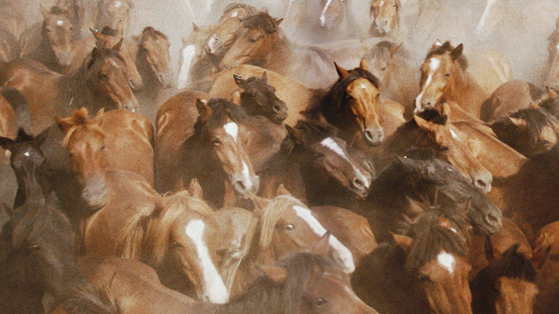 El rugir de las llamas