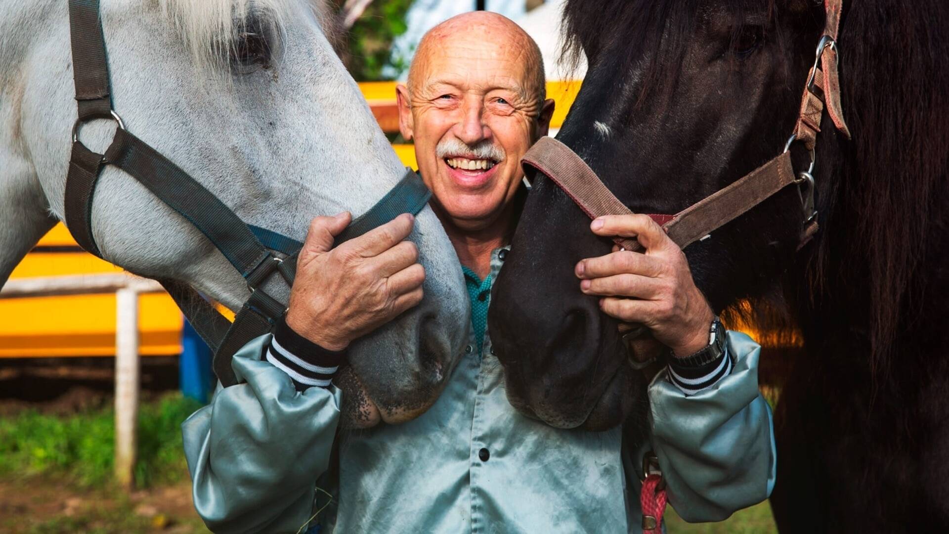 El increíble doctor Pol 