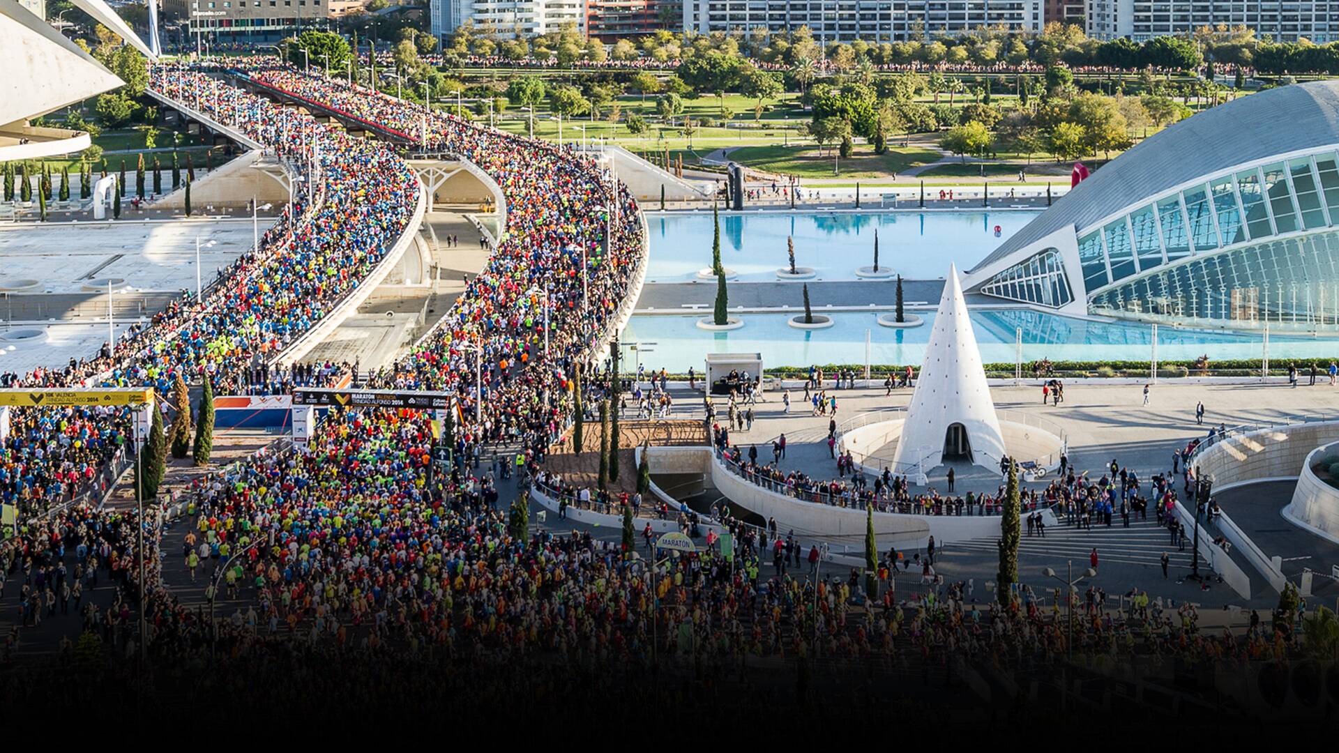 Resumen Maratón de Valencia Trinidad Alfonso (2025)