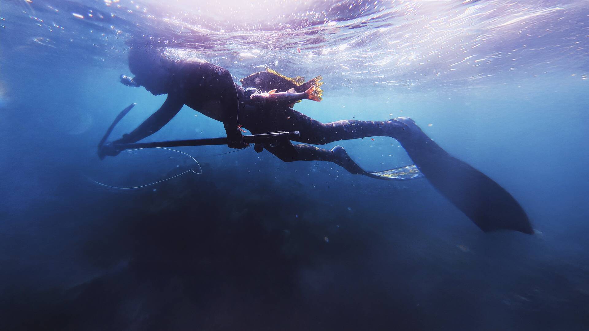 El pescasub sostenible