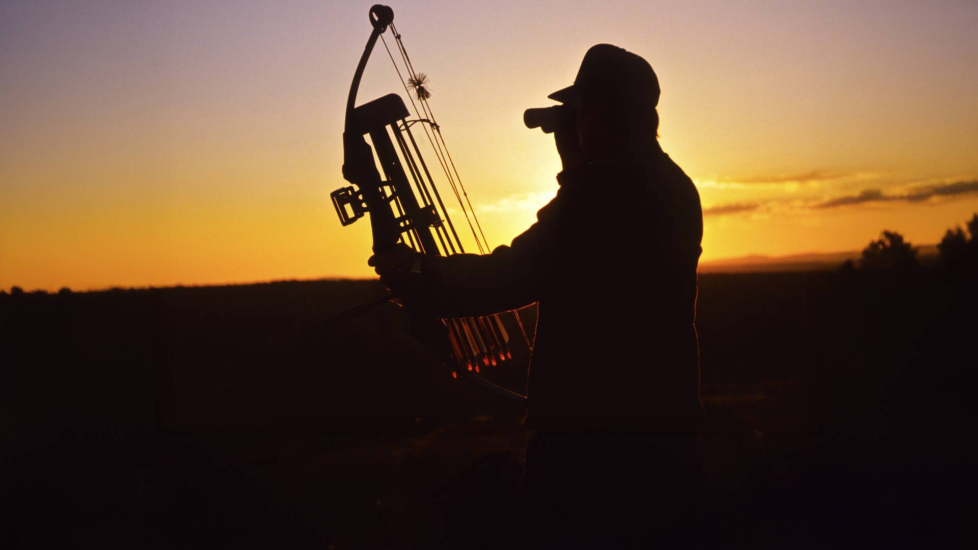 Caza con arco: Entre el día y la noche