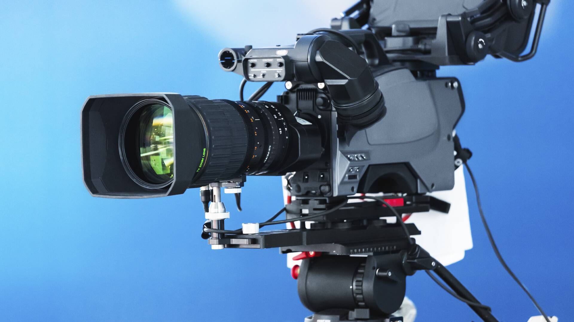 Veda Abierta Caza (T5)