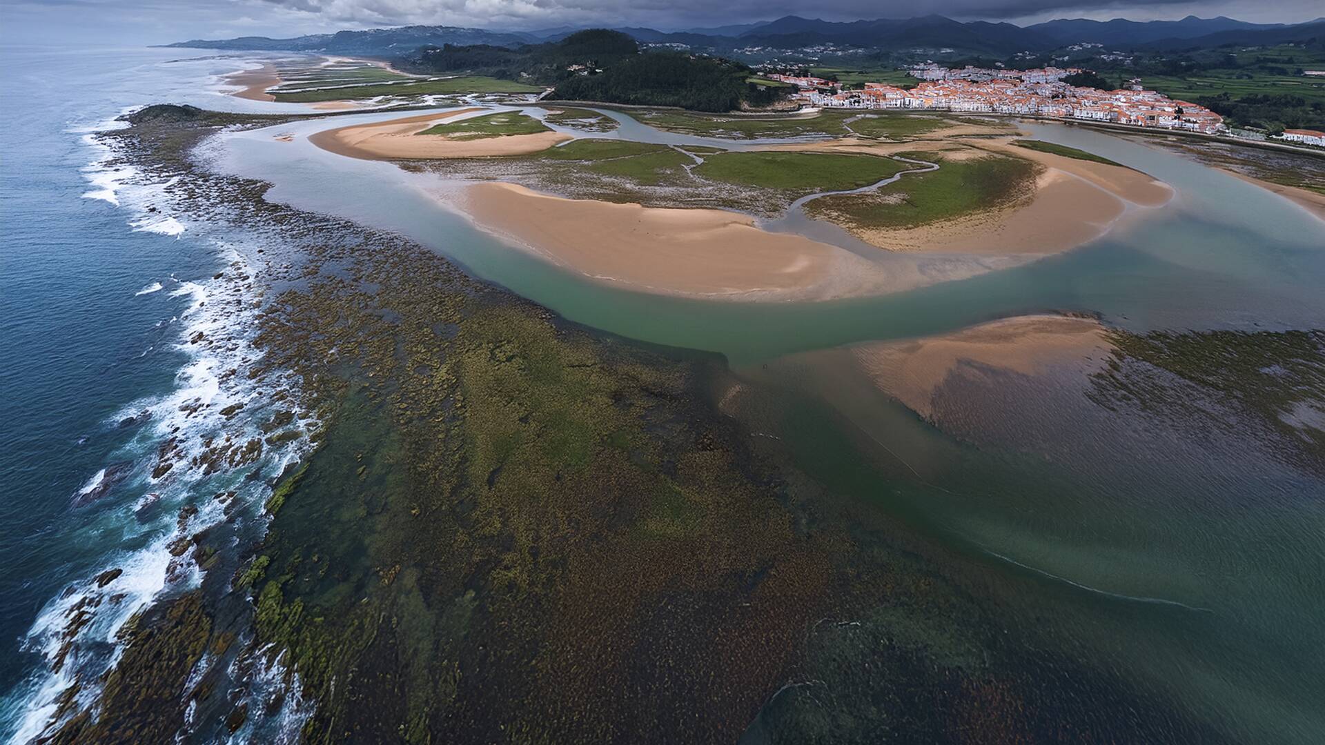 El cebo natural: donde, cómo y cuándo usarlo