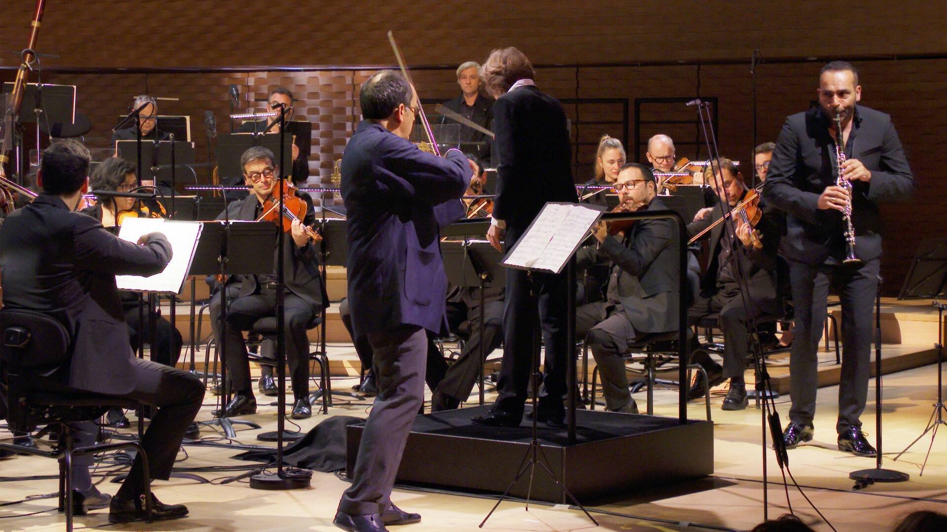 Beethoven: Sinfonía n.º 5 - Insula Orchestra, Laurence Equilbey