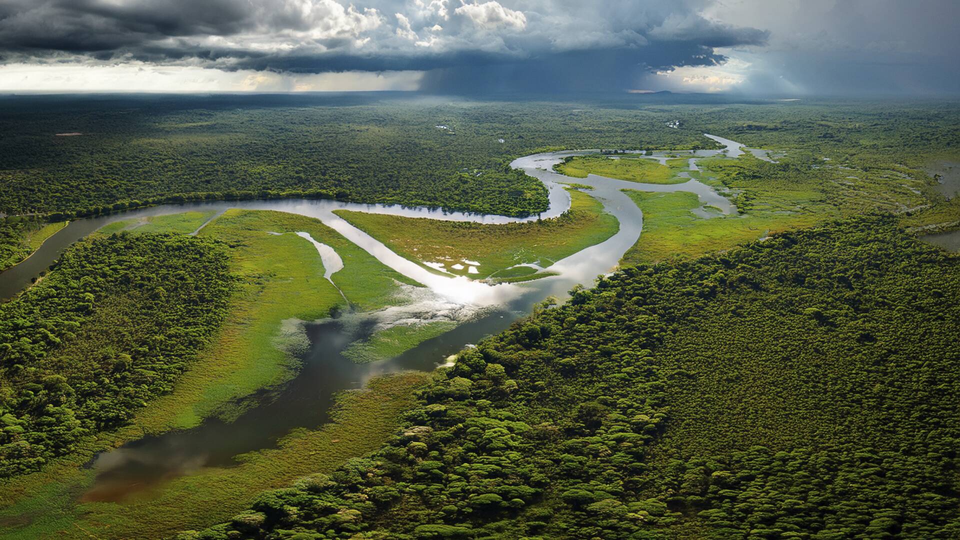 El pantanal, dominio de la Onca Pintada I