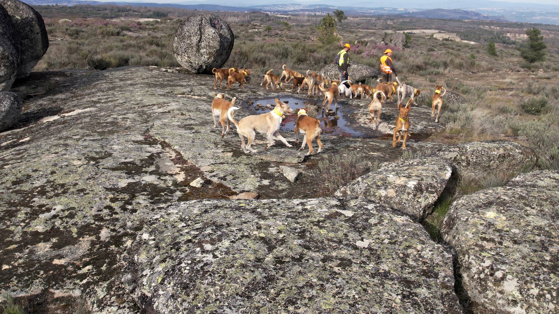 Lances Monteros en la tierra Portuguesa