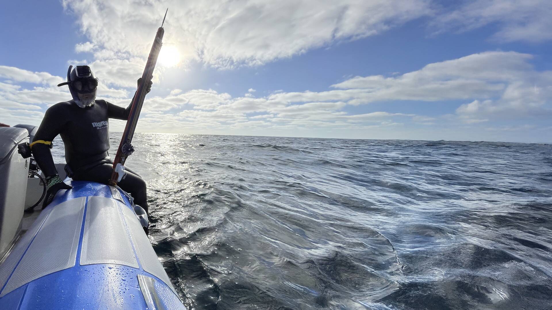 Corvina, a la caza del eco plateado