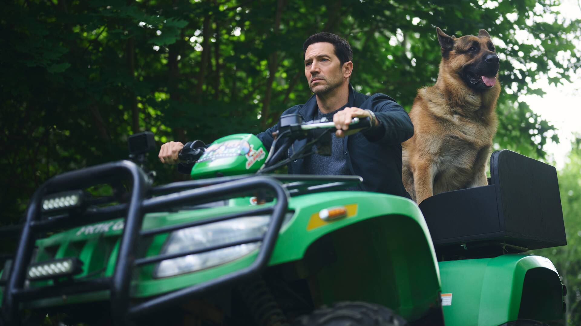 Hudson & Rex (8) (T8): Ep.1 En el bosque