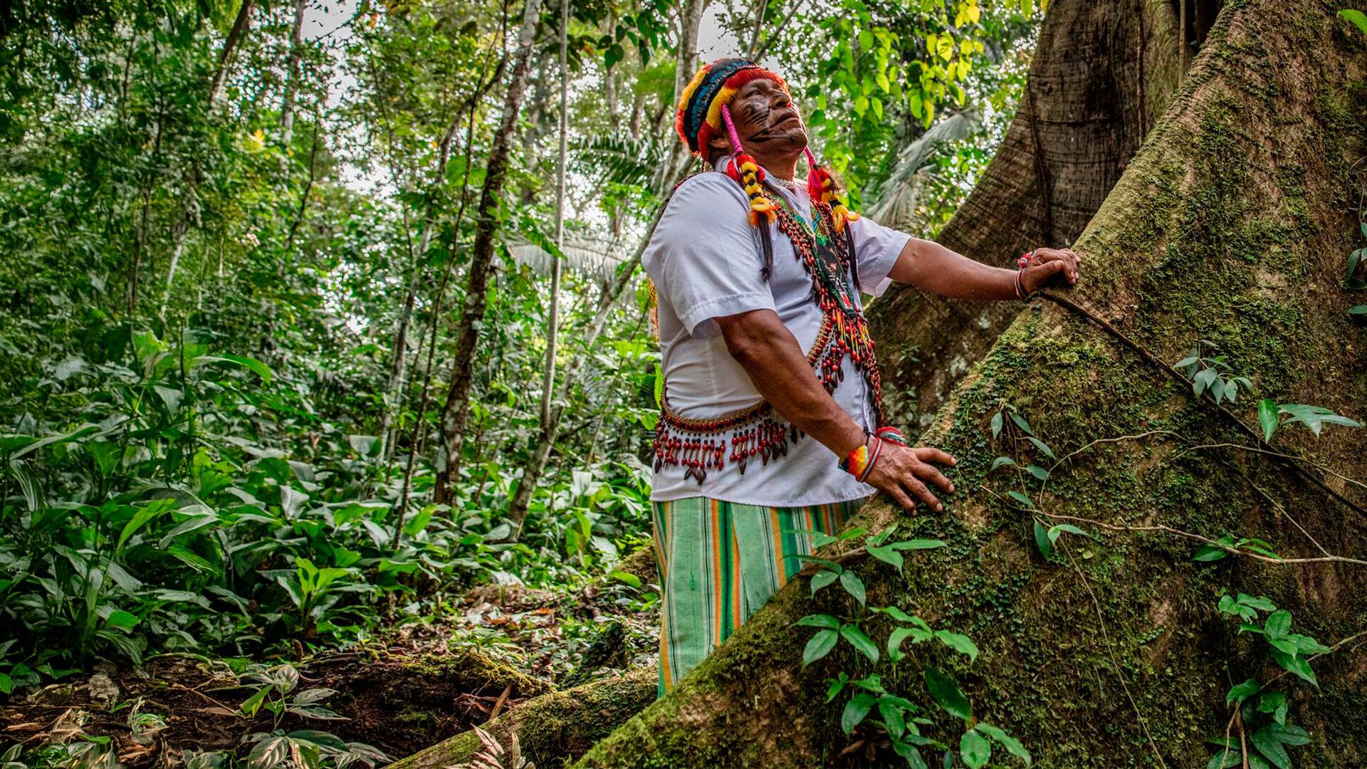 Acciones contra el cambio climático
