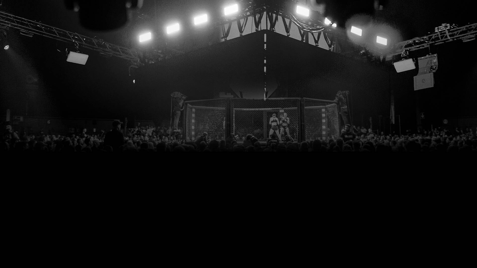 WOW. Artes Marciales Mixtas