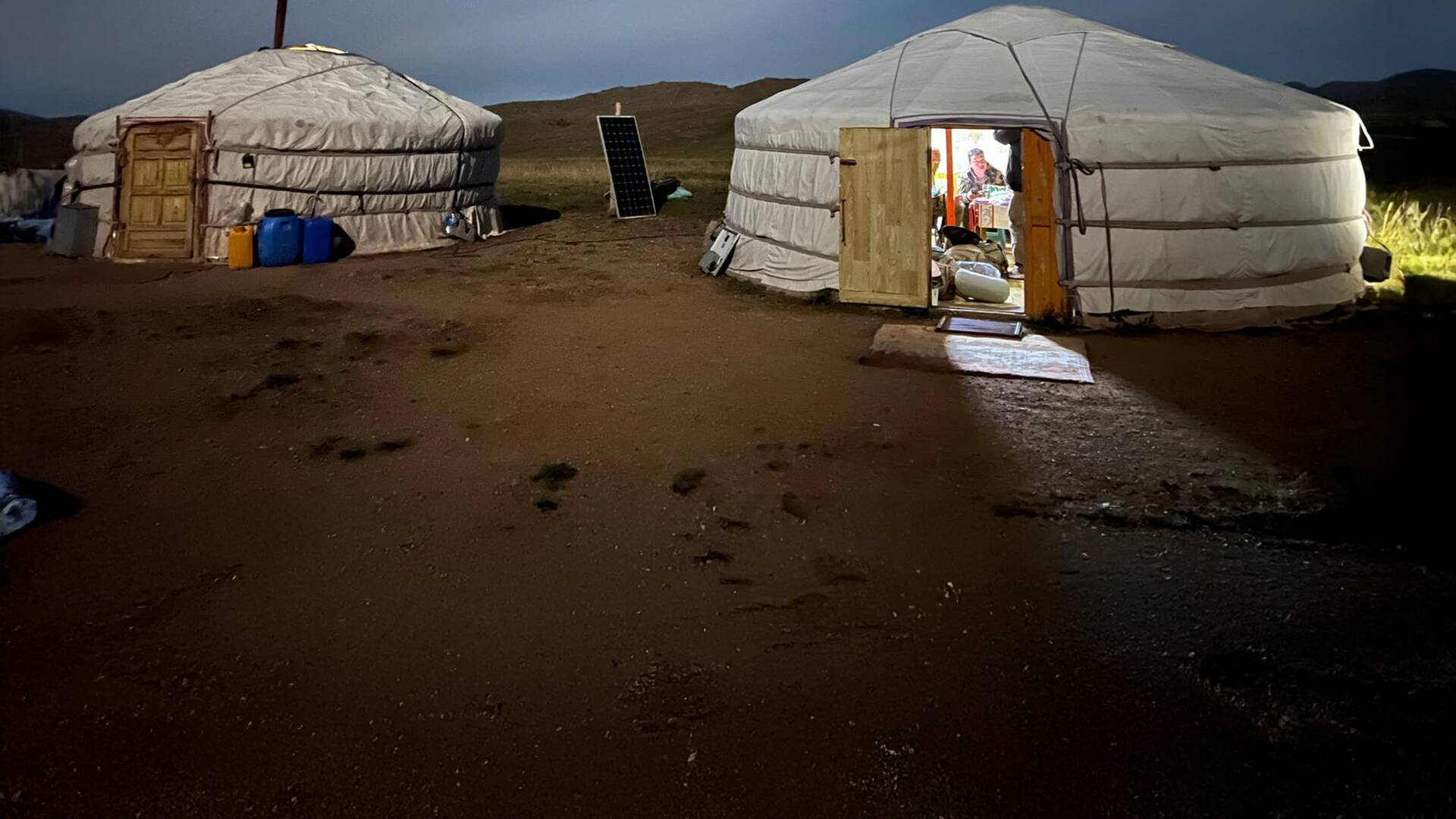 Ibex y Argali del Gobi