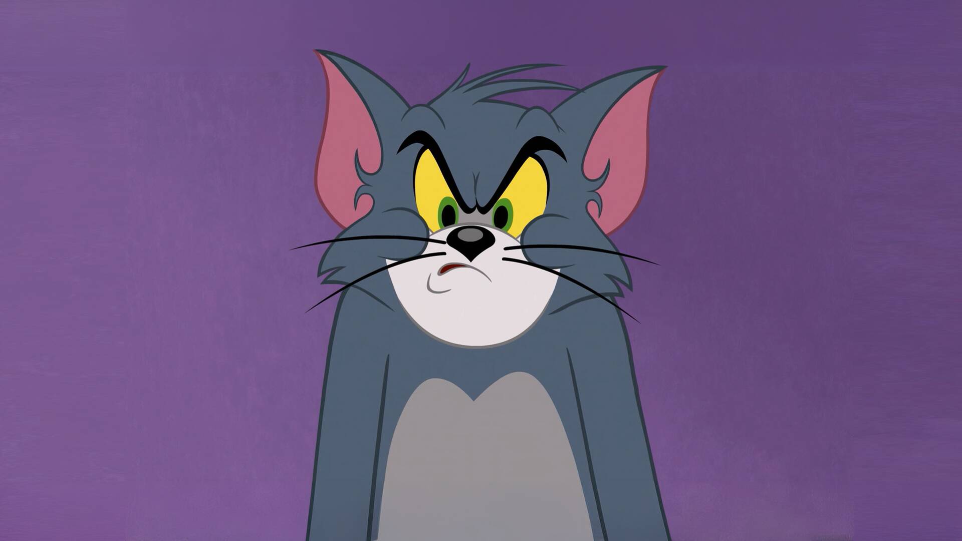 Tom y Jerry en... (T1): El osito de Spike / Reloj de cuco suizo / Equipazo / Soldado Tom