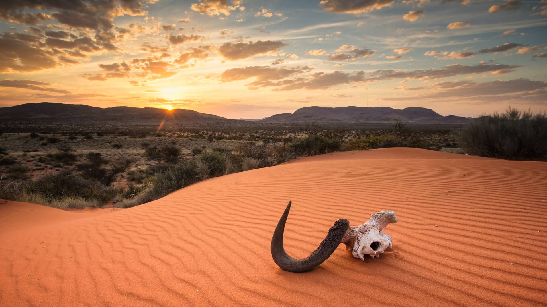 Kalahari: El desierto subterráneo de África