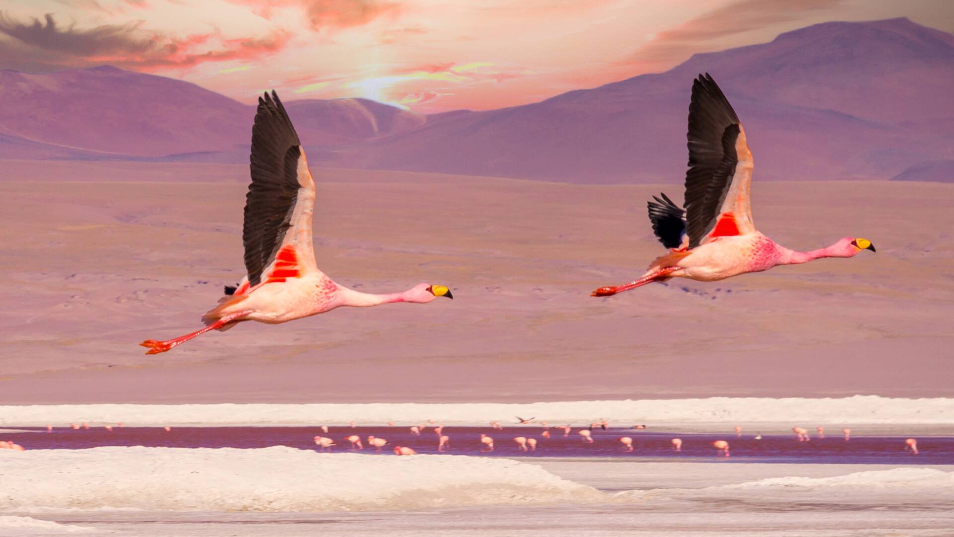 América extraordinaria: El reino del agua