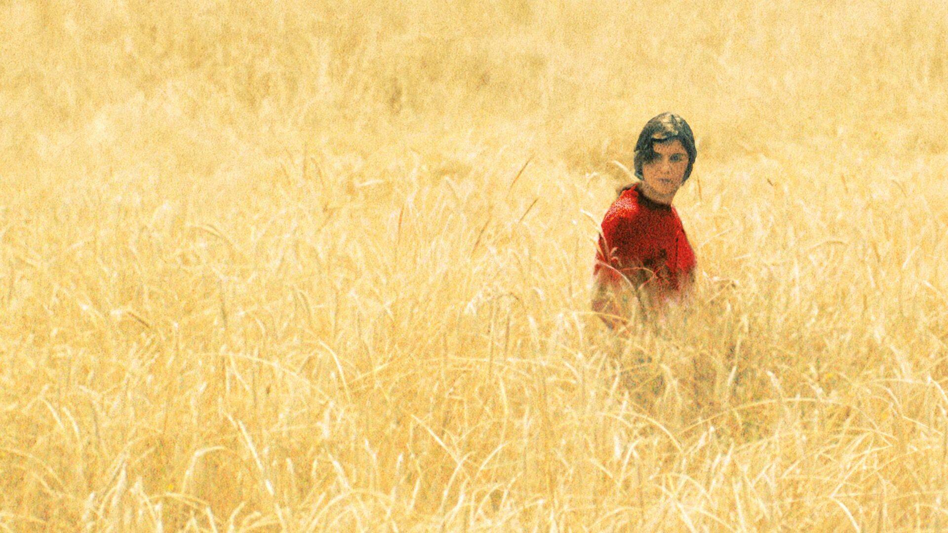 O corno