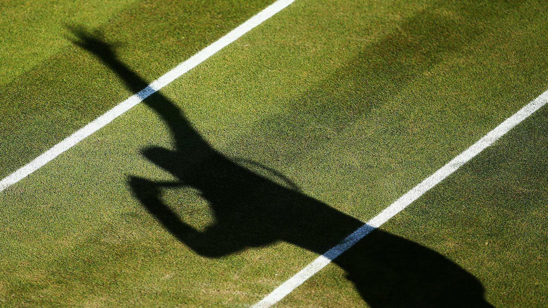 Masculino: Auger-Aliassime - Davidovich Fokina