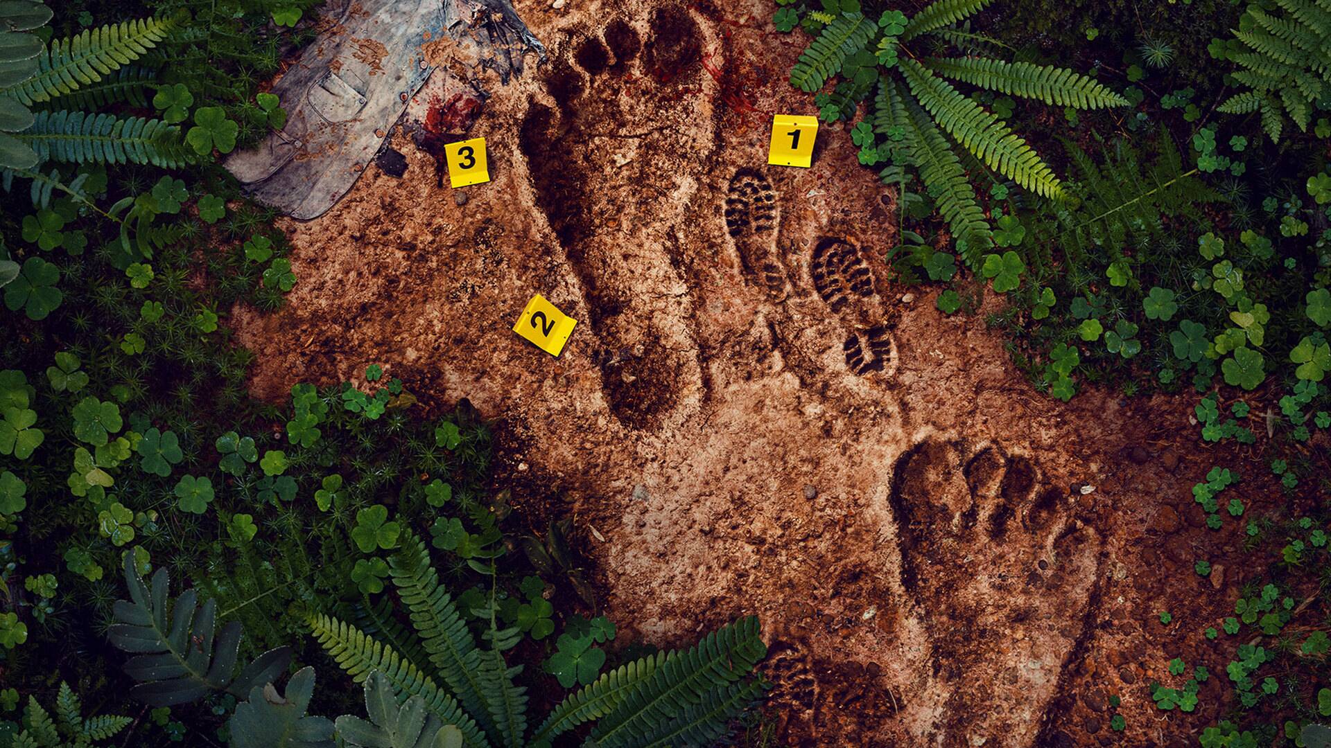 Secuestrada por Bigfoot