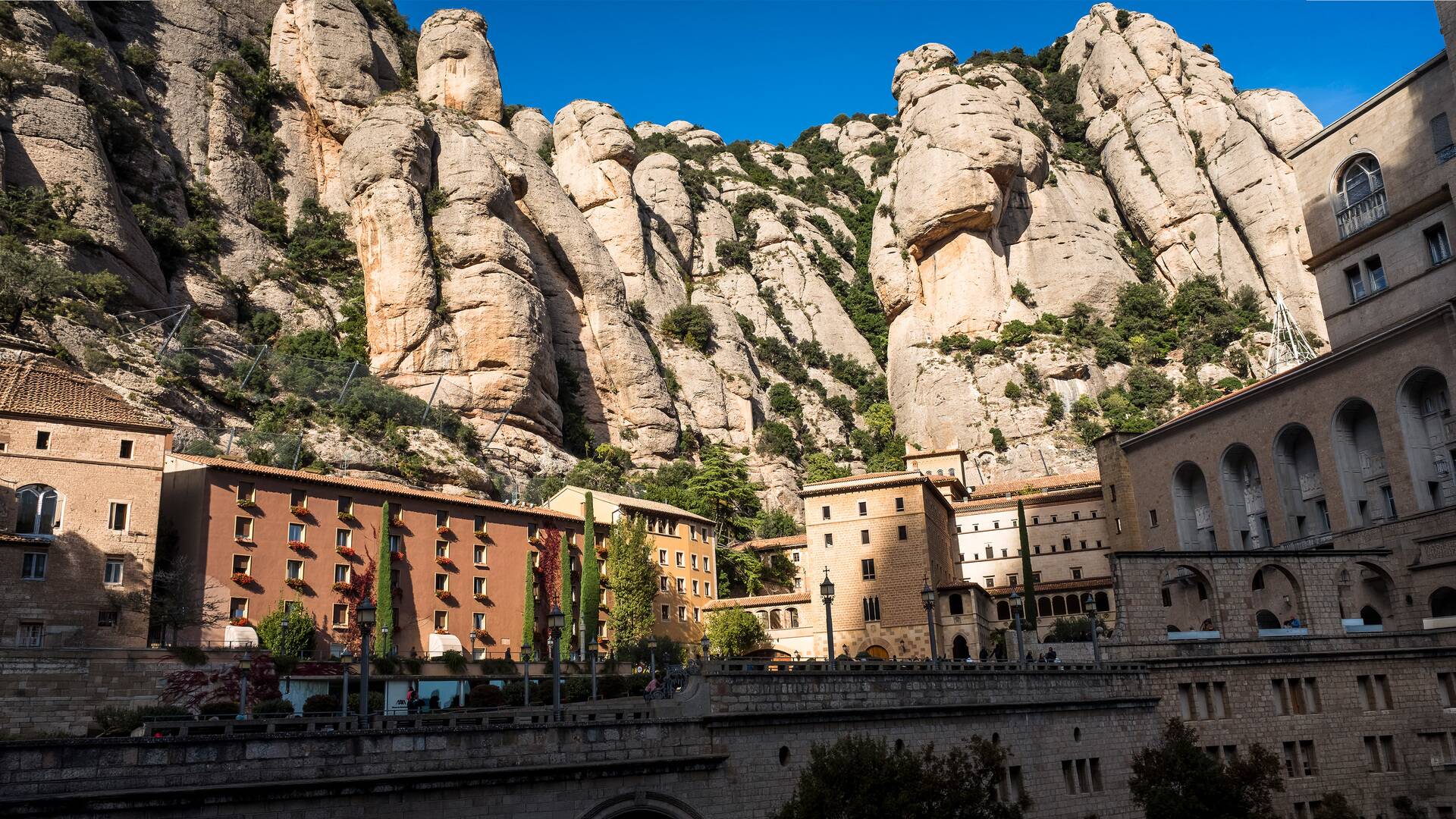 Visita Papa a España (T1): Vigília Montjuïc
