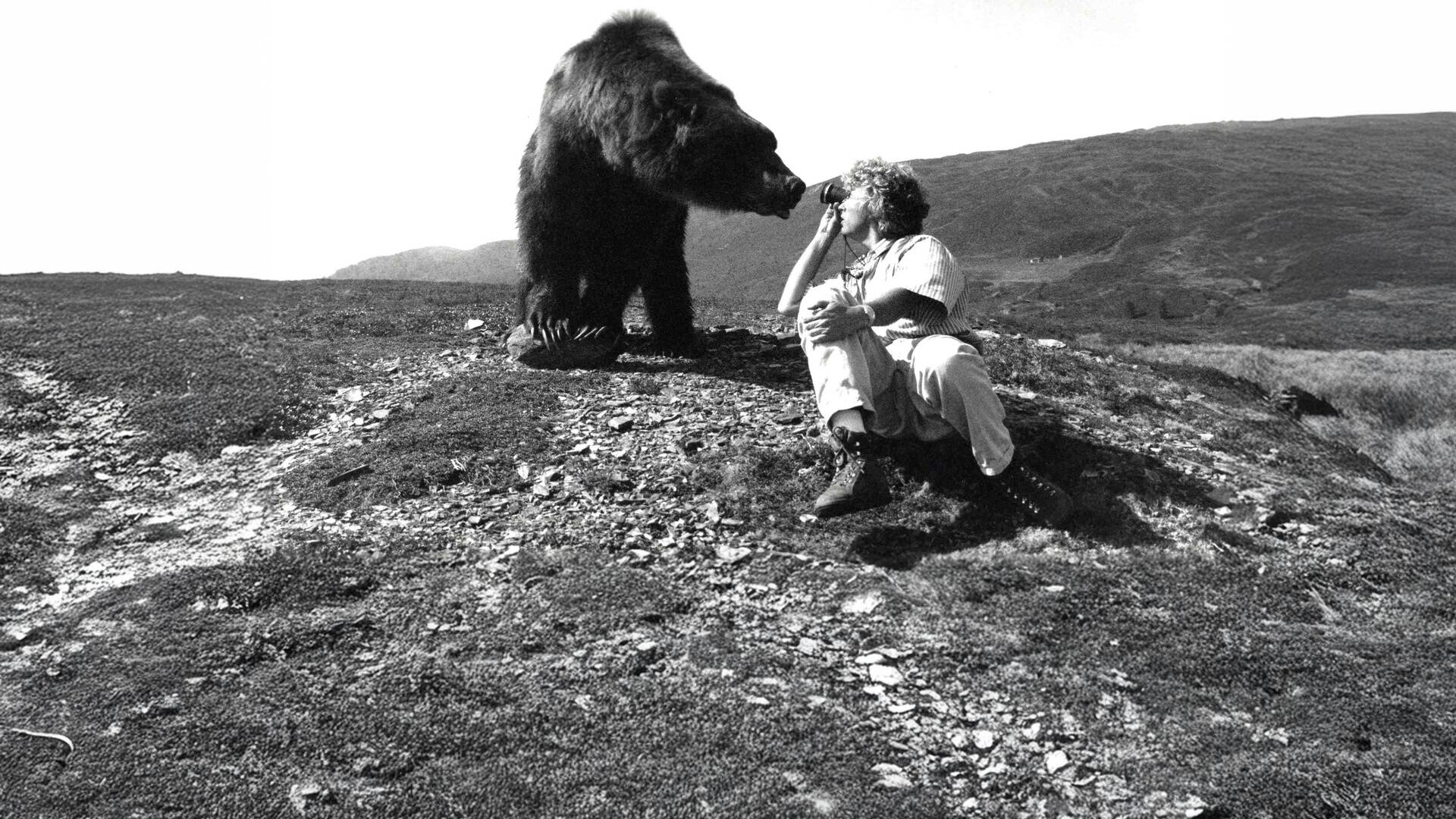 El oso