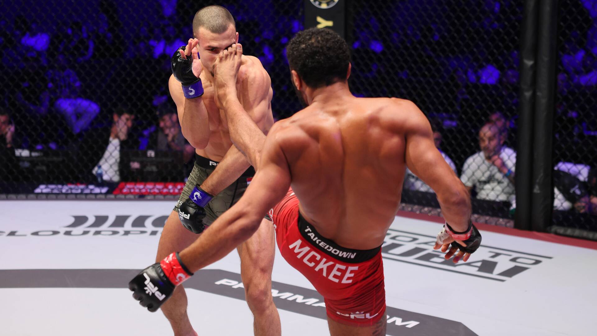 Main Card San Diego