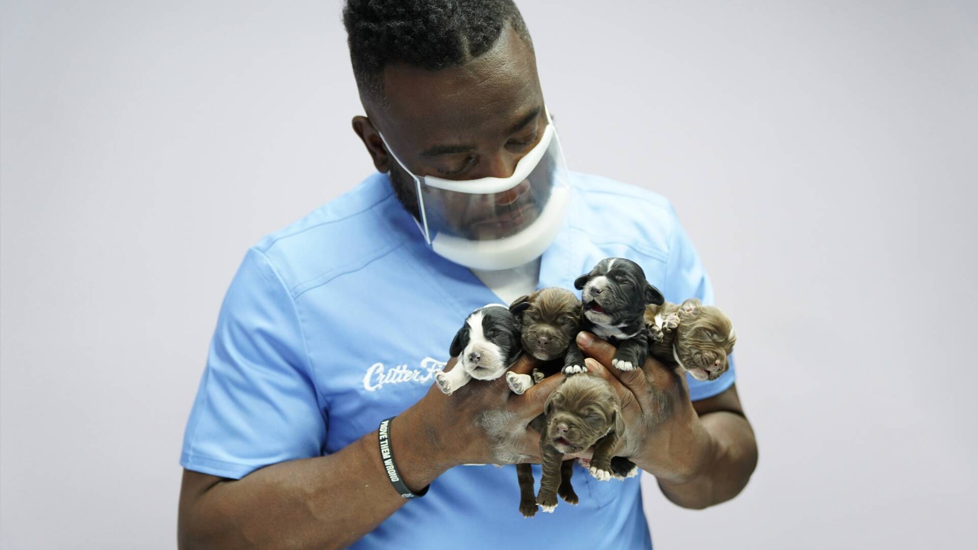 Critter fixers:...: Manías veterinarias