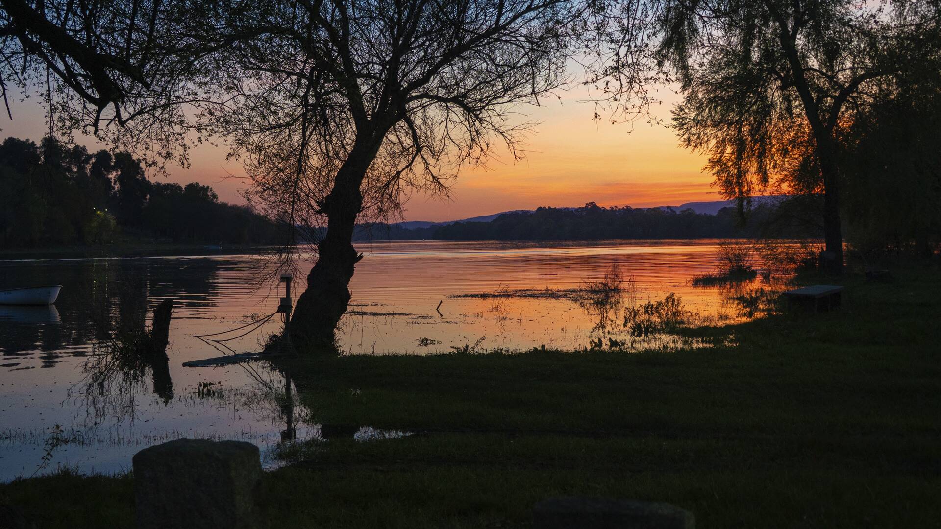 Así somos: el ocaso de la angula