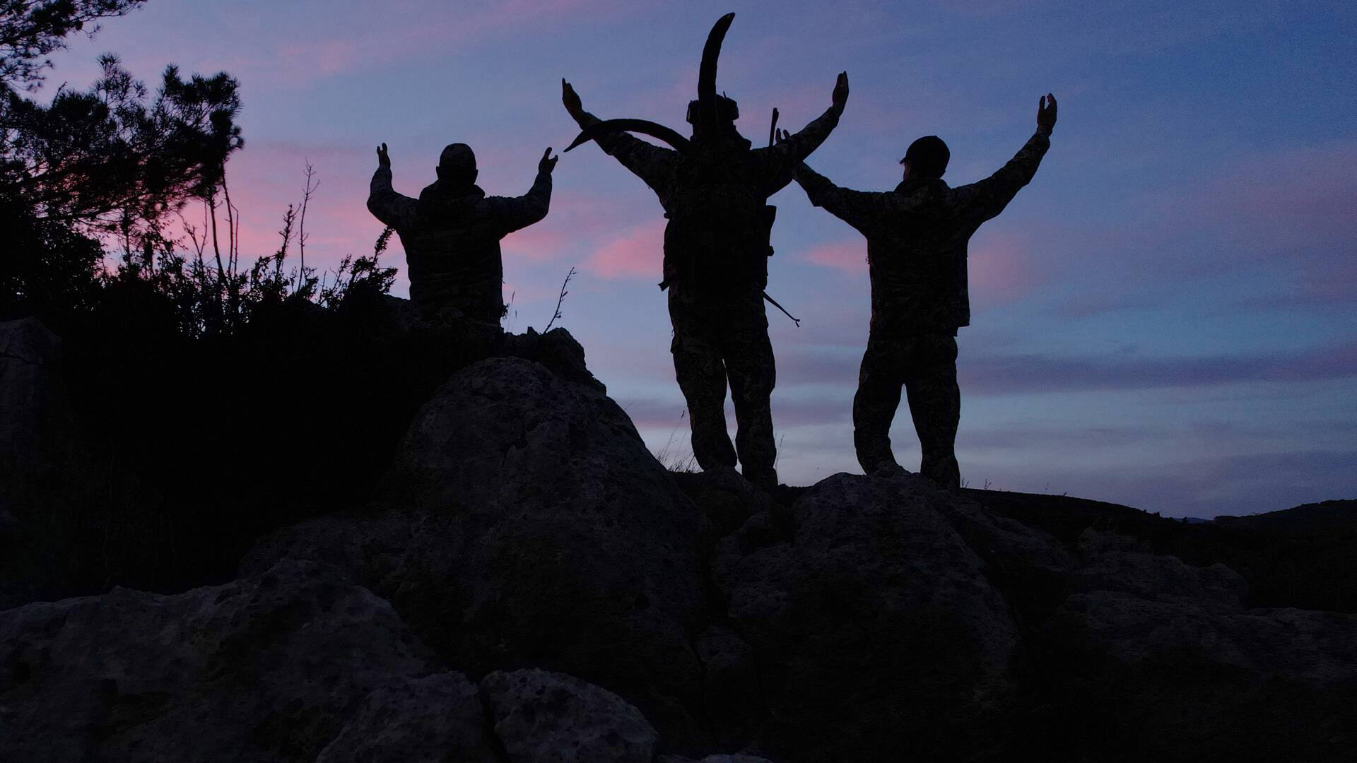Veteranía trás los machos de Castellón