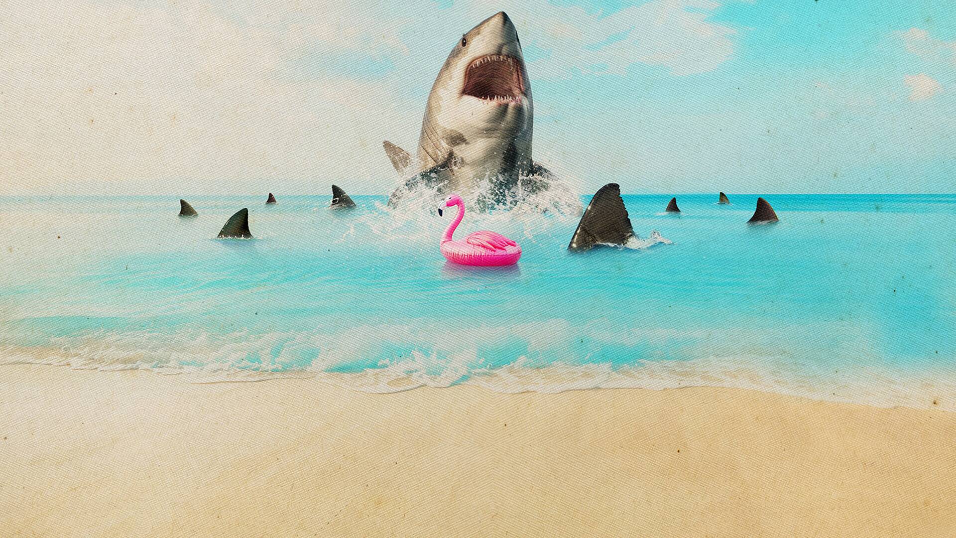 Florida: playa mortal