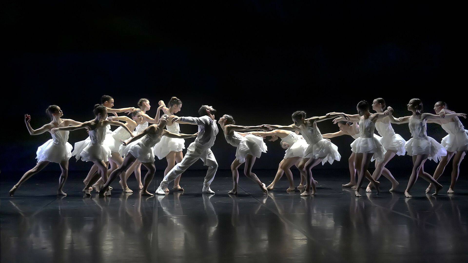 Preljocaj: El lago de los cisnes - Chaillot, Théâtre national de la danse