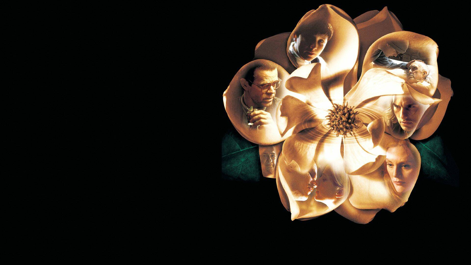 Magnolia