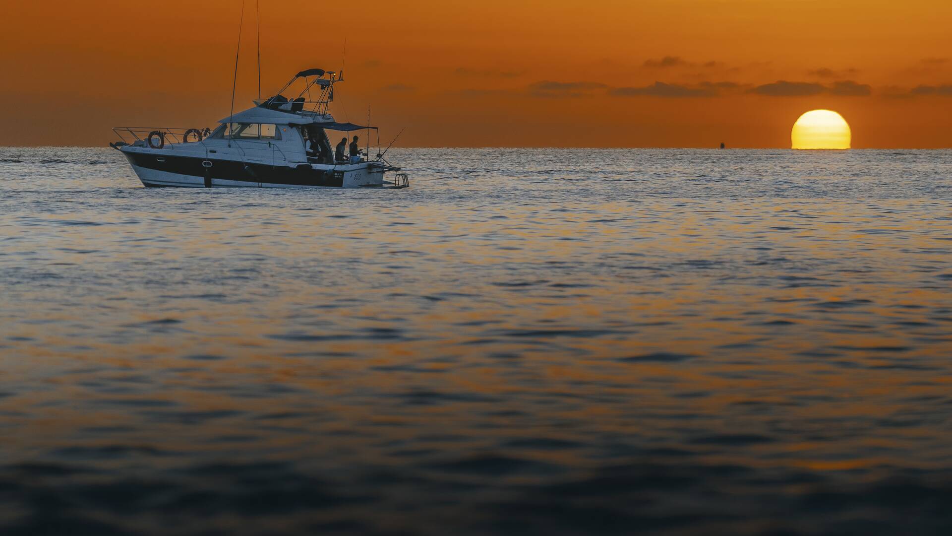 El atún de cabo a rabo