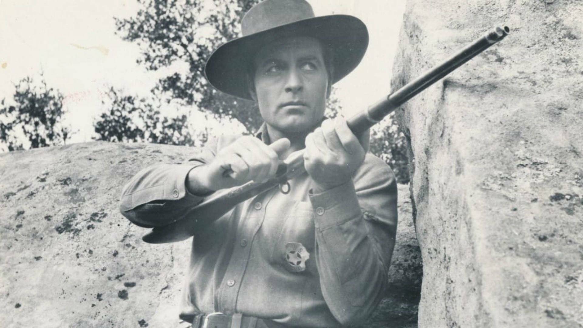 Rifle solitario