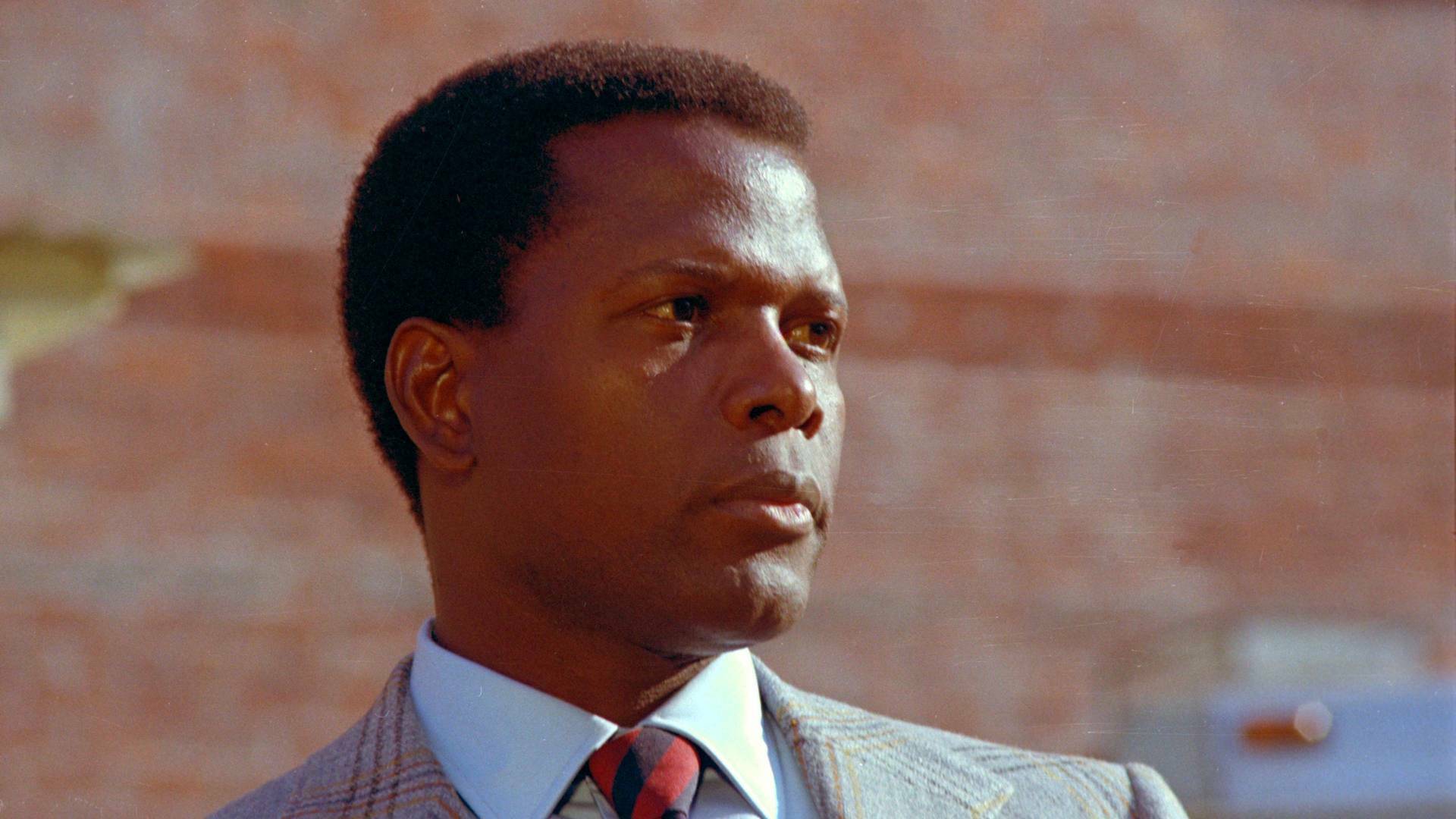 El inspector Tibbs contra la Organización