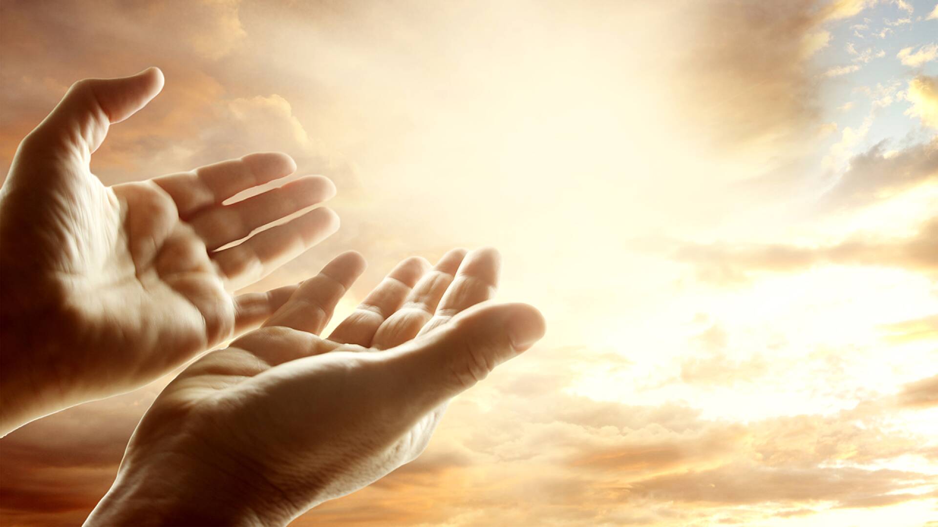 Santa Misa Domingo de Ramos y Ángelus