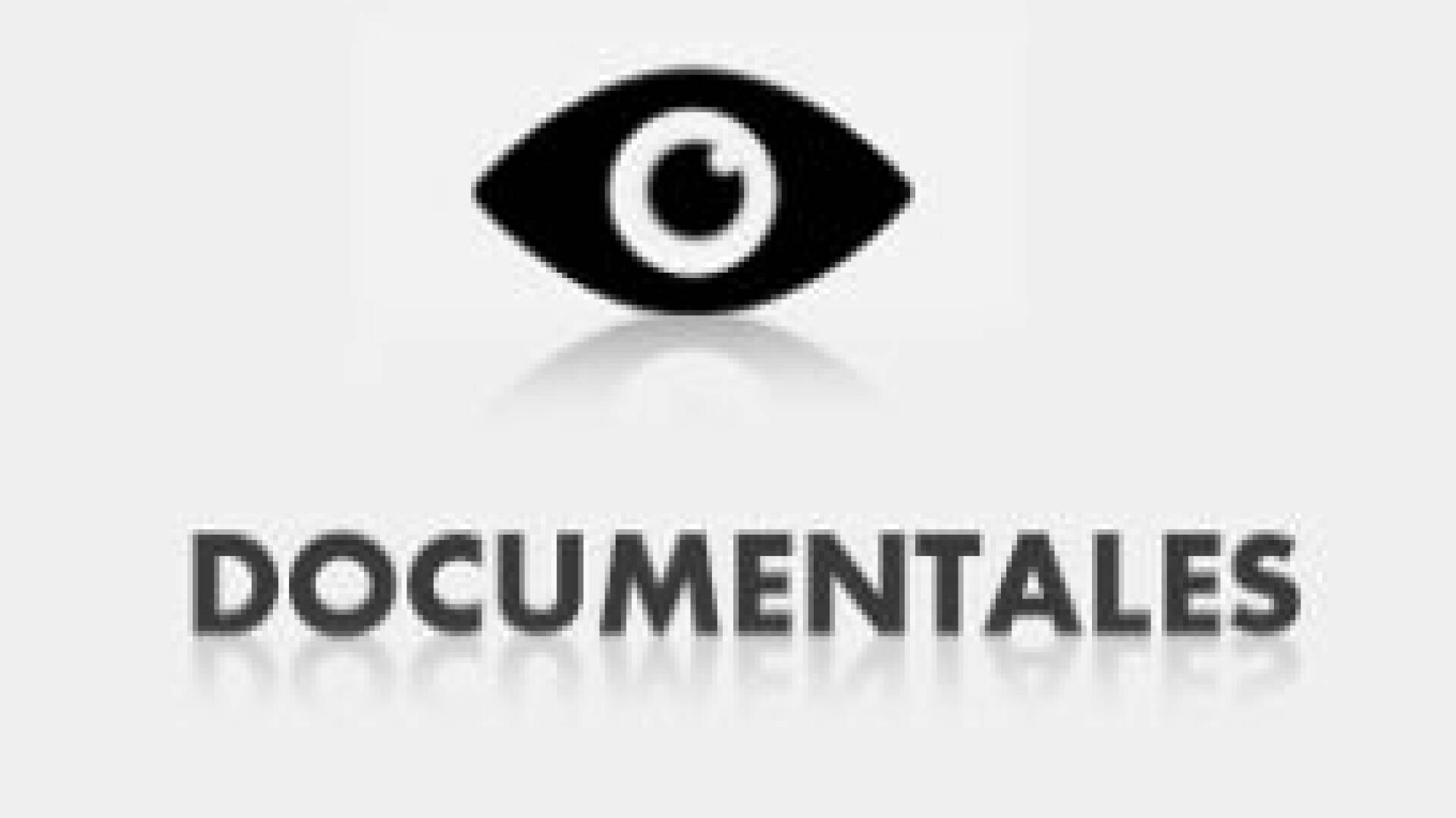 Ensayo sobre la mirada