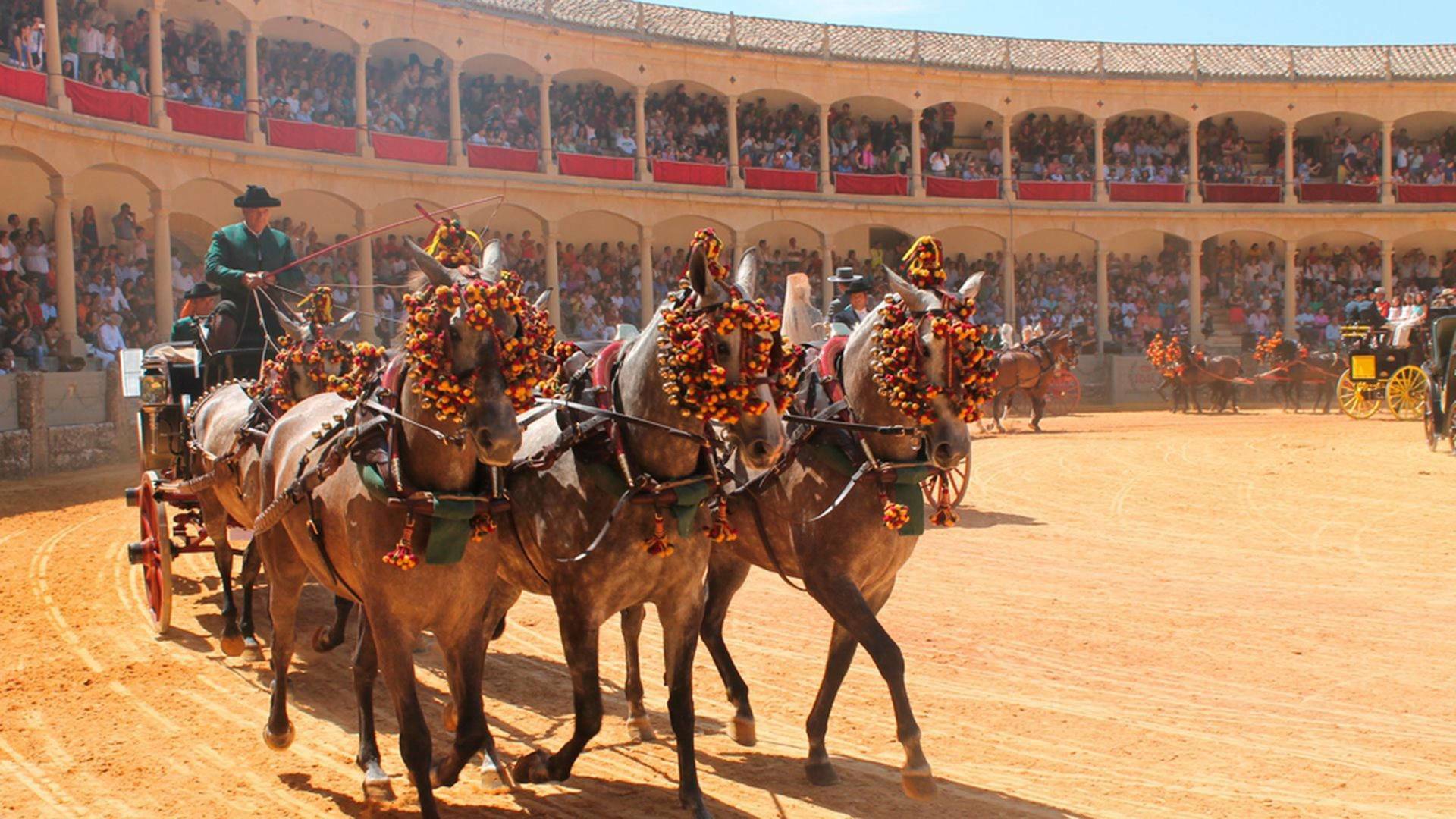I Concurso Internacional de Enganches en Ronda
