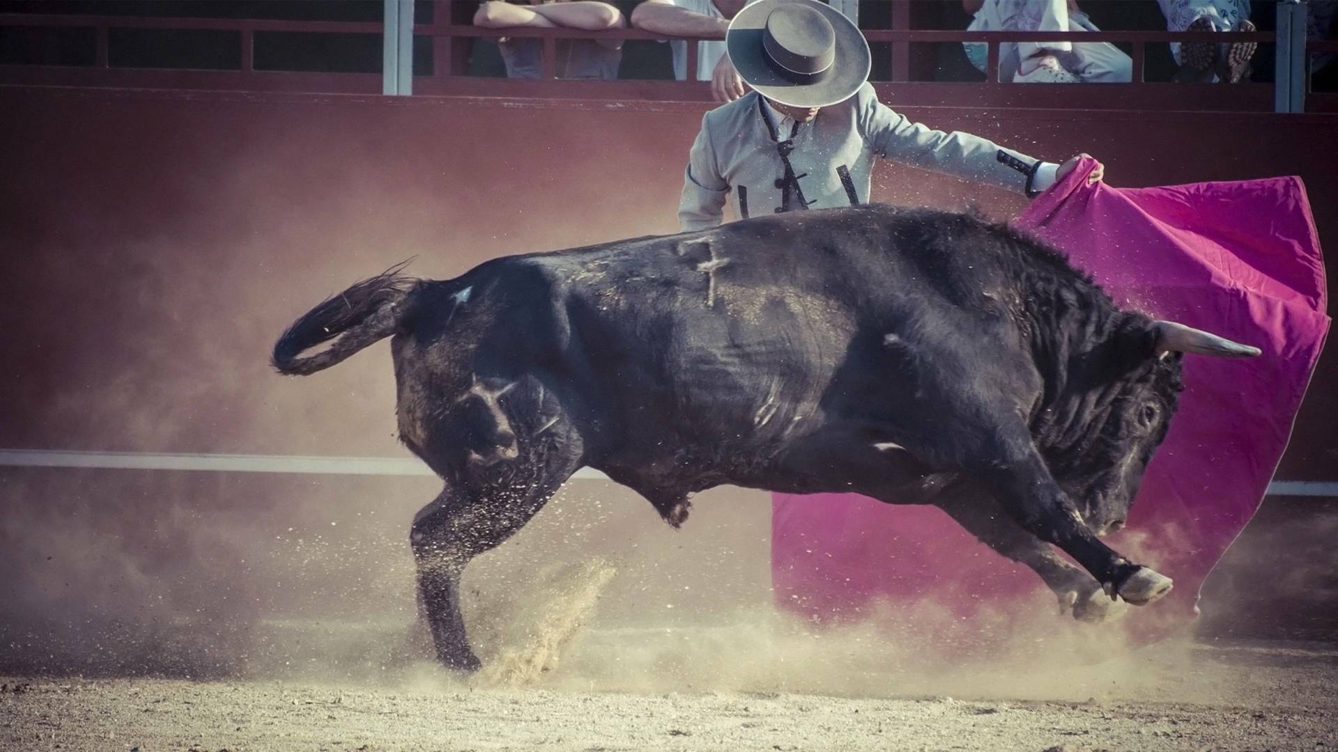 Toros (T2026): Desde Motril