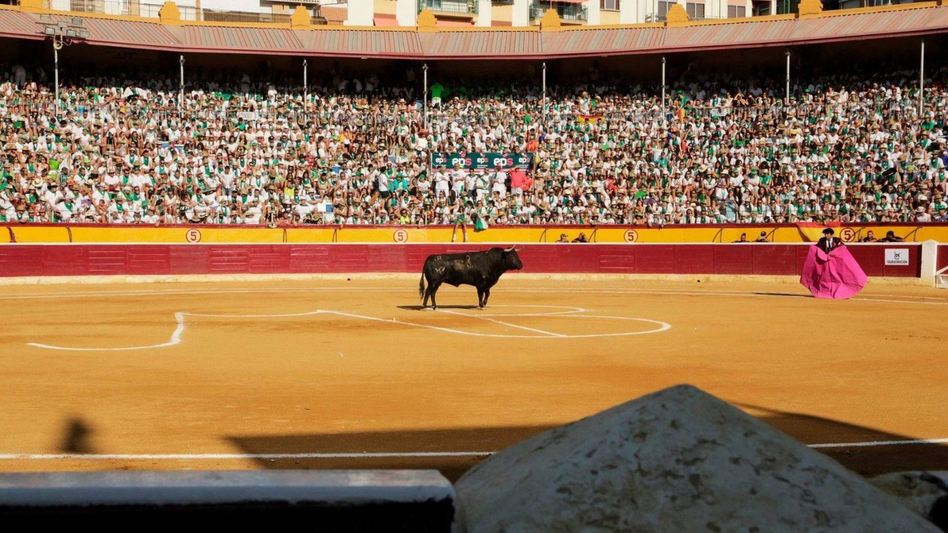 Bous: Fira de la Albahaca de Huesca
