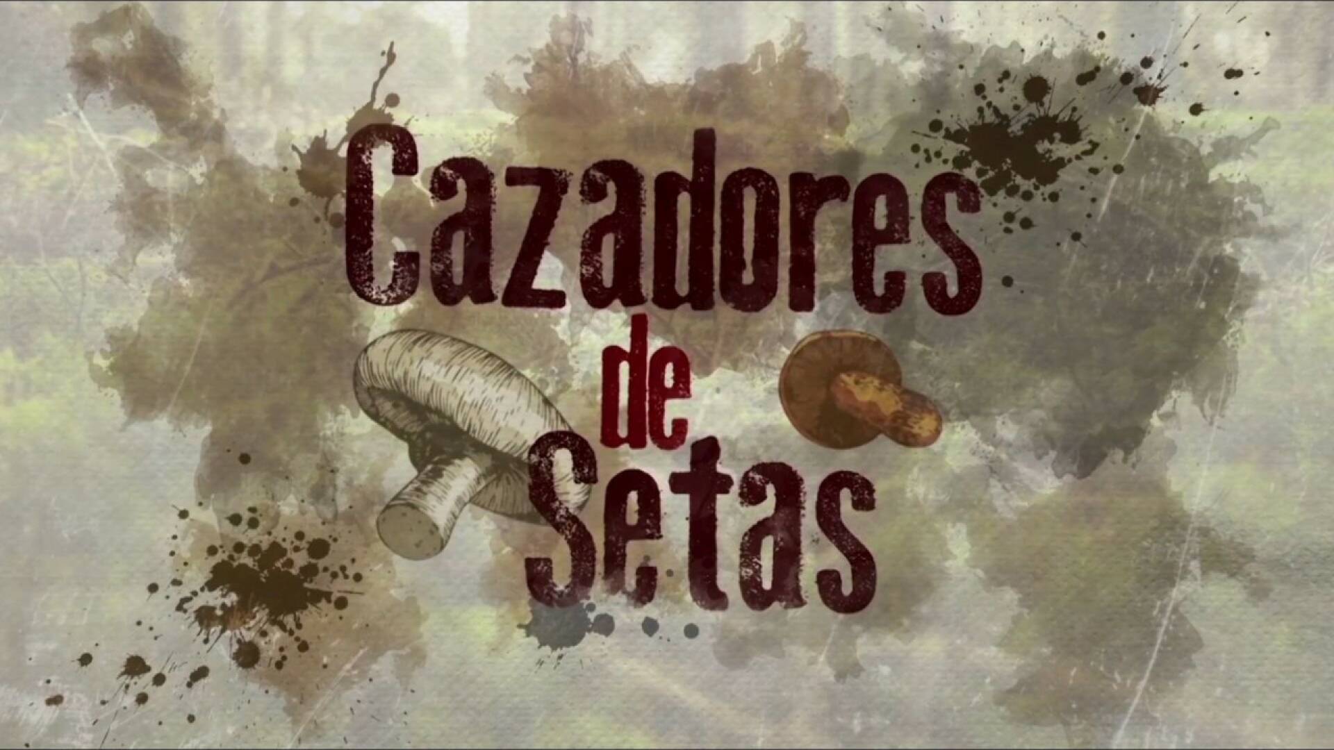 Cazadores de setas