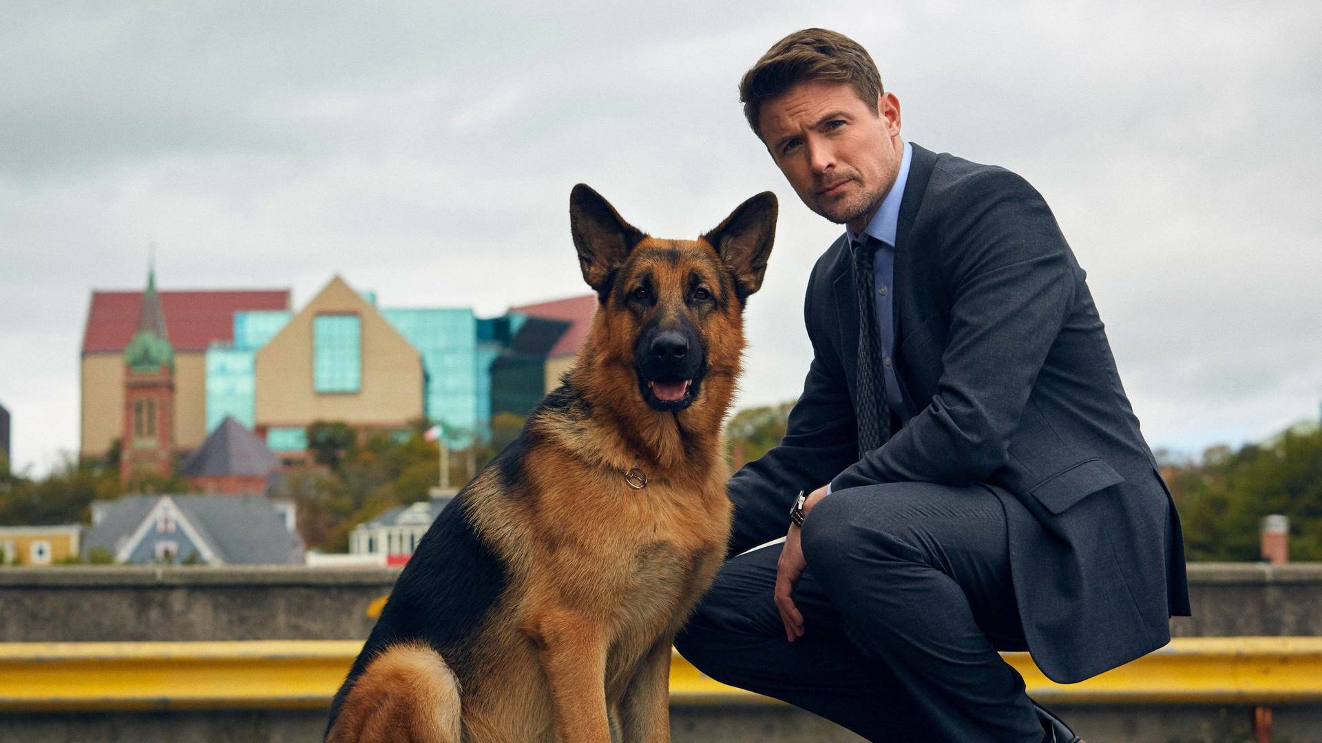 Hudson y Rex (T2): Ep.7 French Connection