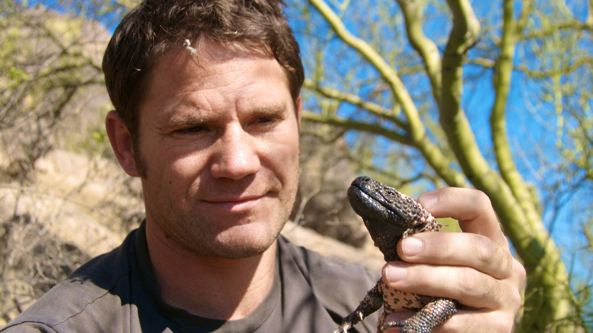 Fauna letal: Namibia (I)