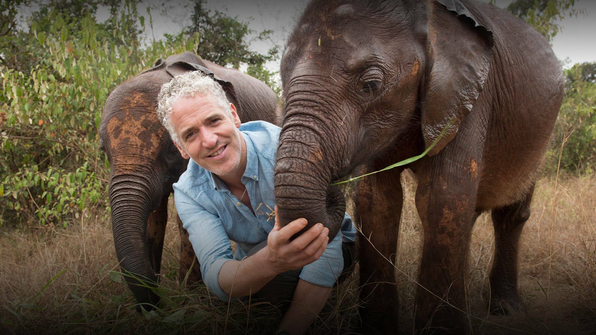 La familia elefante y yo: Ep.2