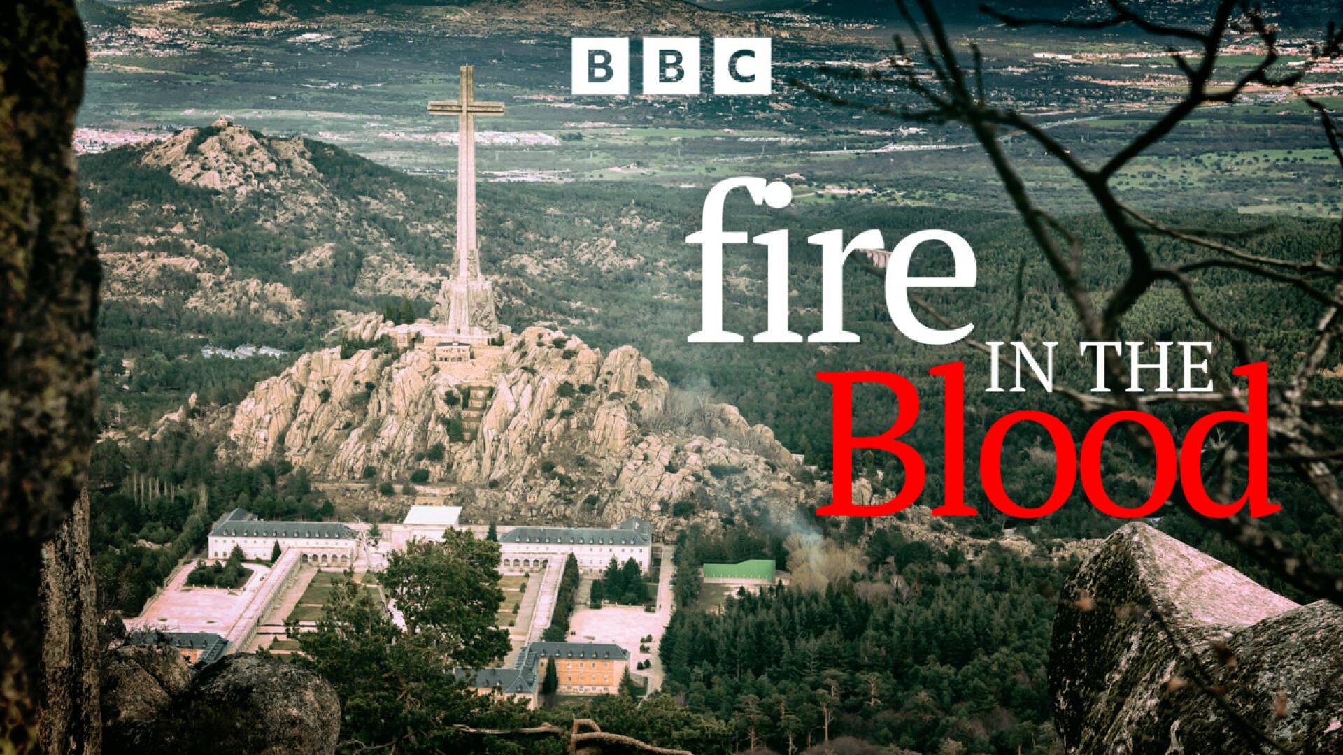 Fuego en la sangre 