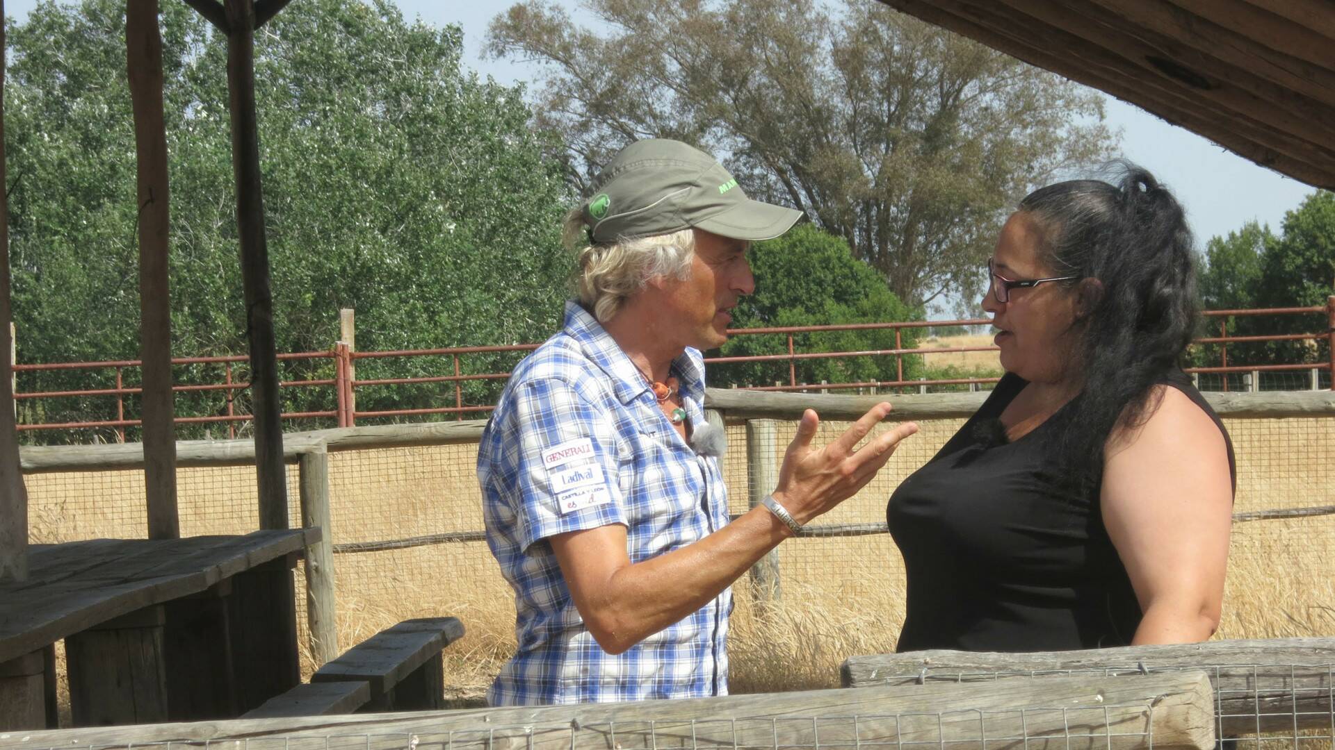 Volando voy: Doñana