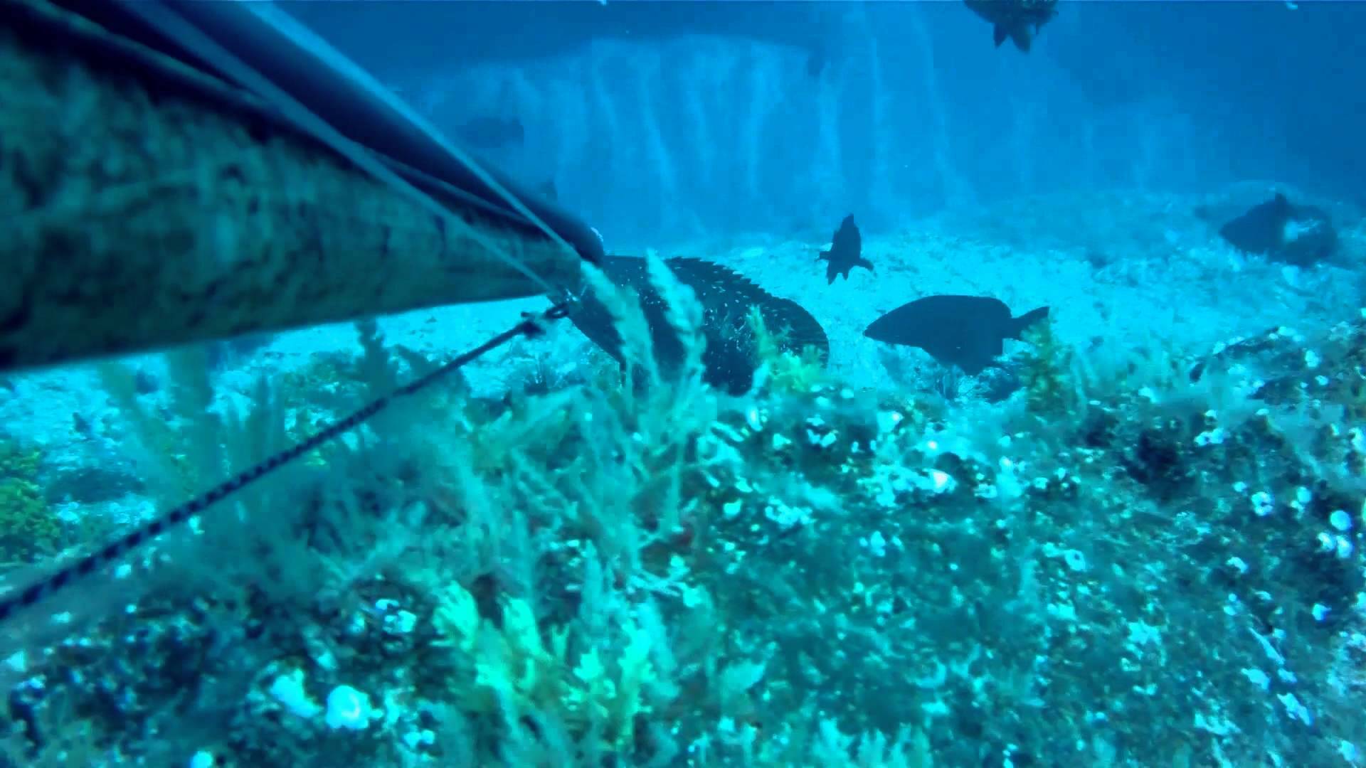 Canarias submarina