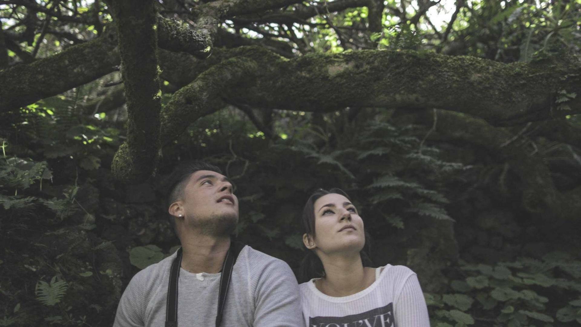 Telúrico, viaje a la isla de el hierro
